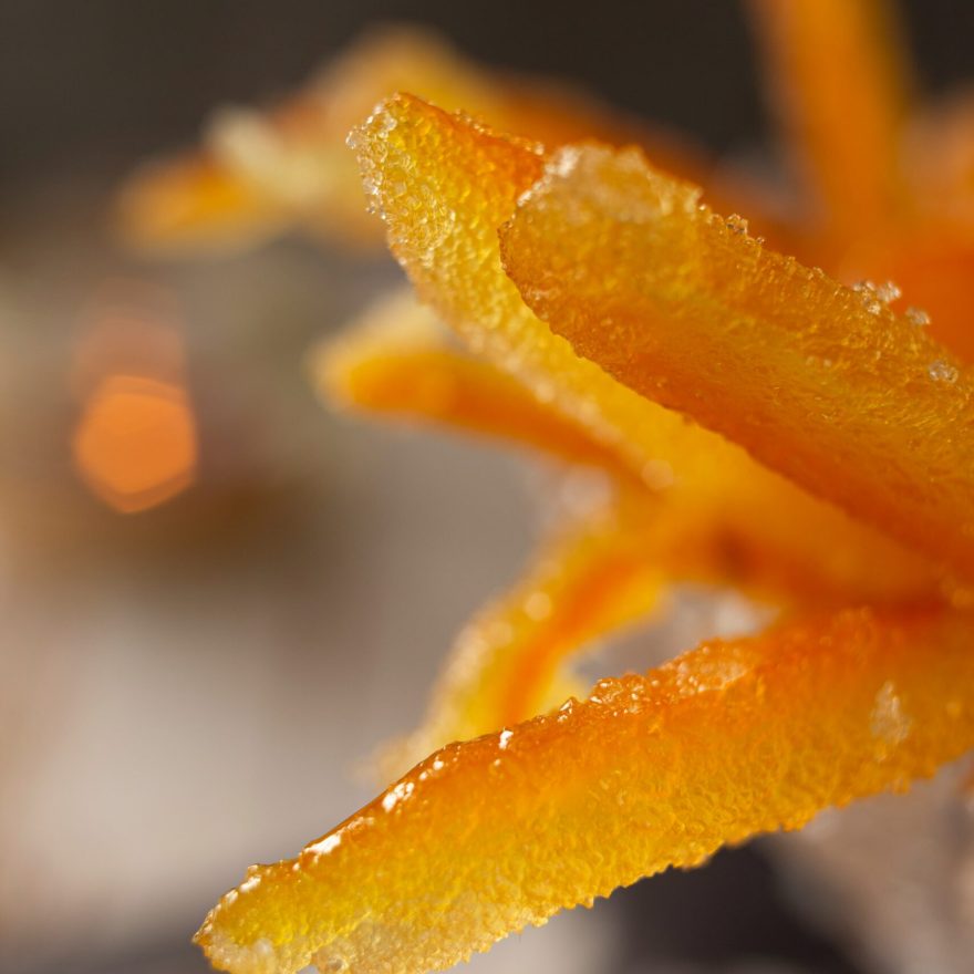 yana-gorbunova-j1_sn3Mr4F8-unsplash